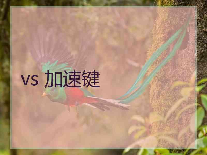 vs 加速键