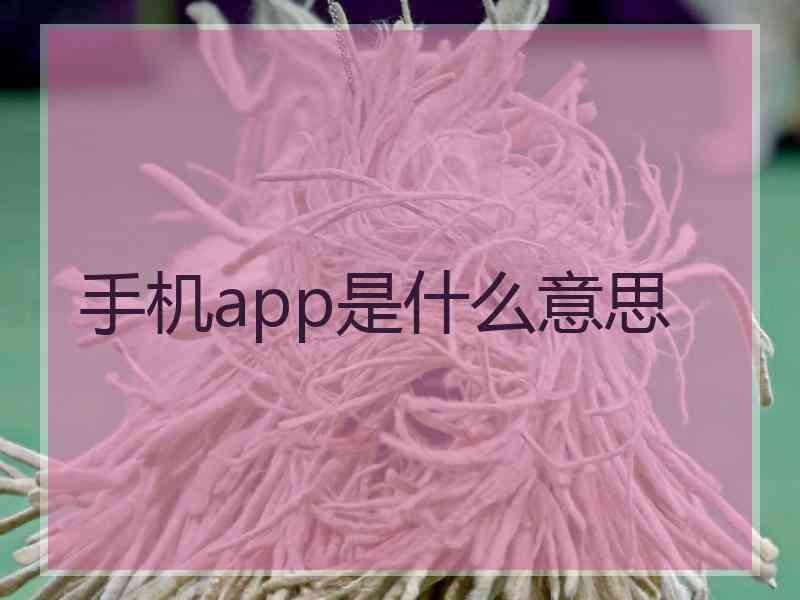 手机app是什么意思