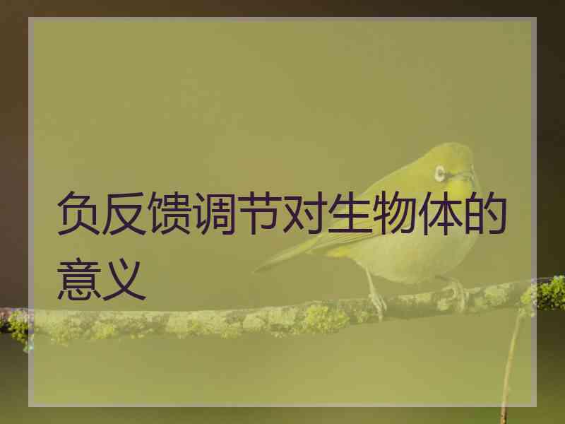 负反馈调节对生物体的意义