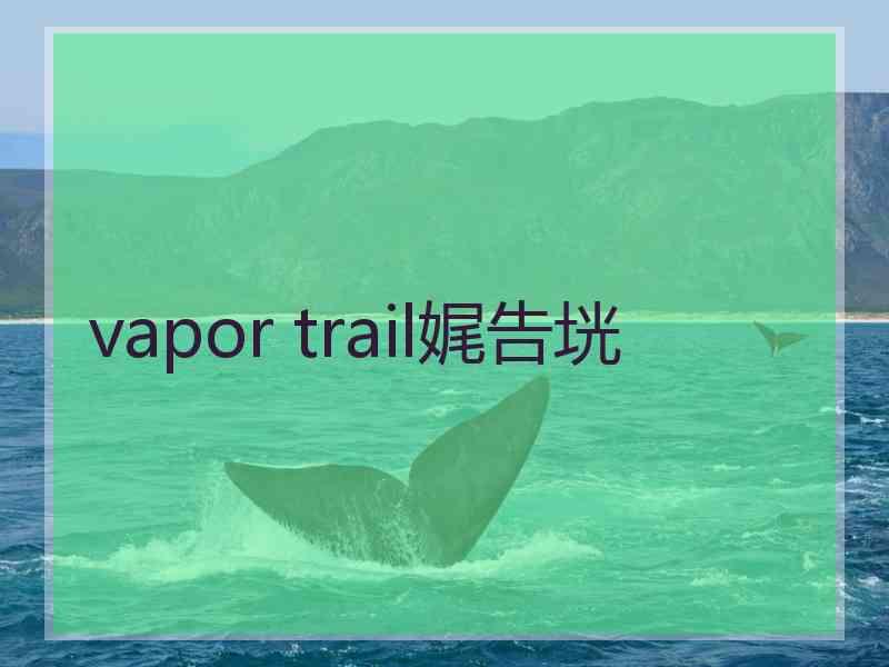 vapor trail娓告垙