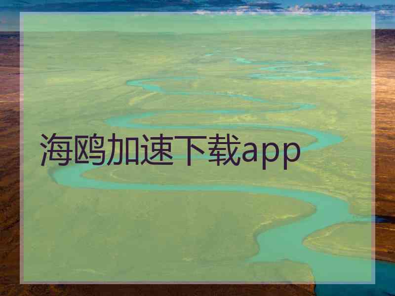 海鸥加速下载app