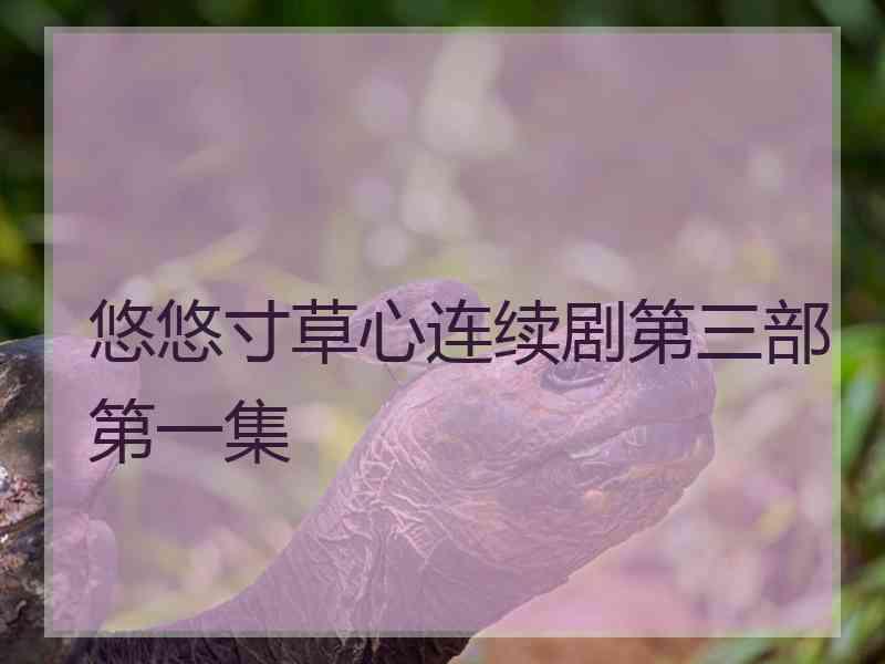 悠悠寸草心连续剧第三部第一集