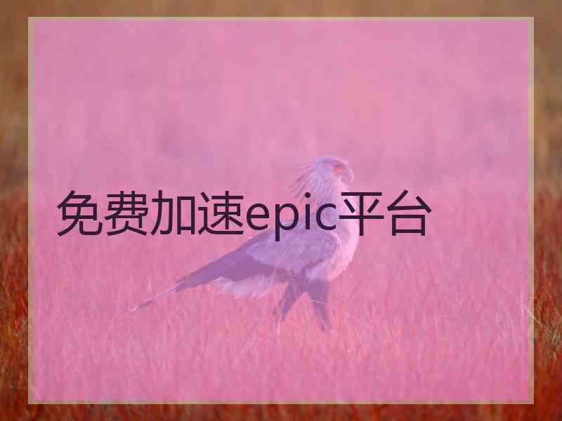 免费加速epic平台