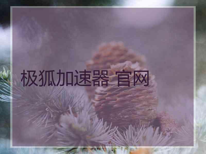 极狐加速器 官网