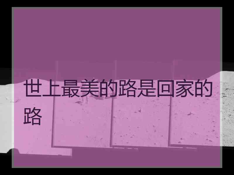 世上最美的路是回家的路