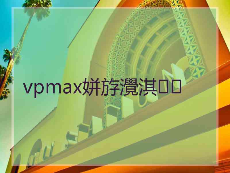 vpmax姘斿灚淇