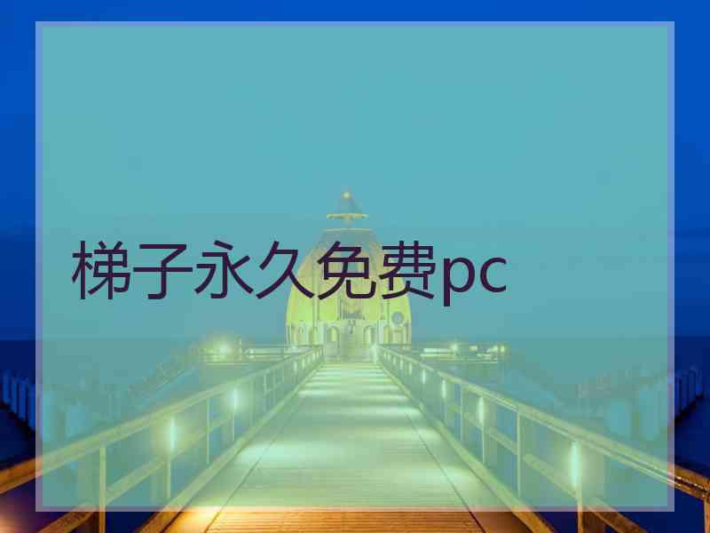 梯子永久免费pc