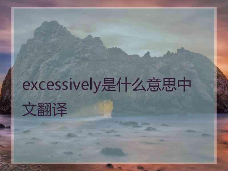 excessively是什么意思中文翻译