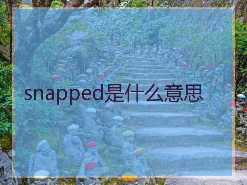 snapped是什么意思