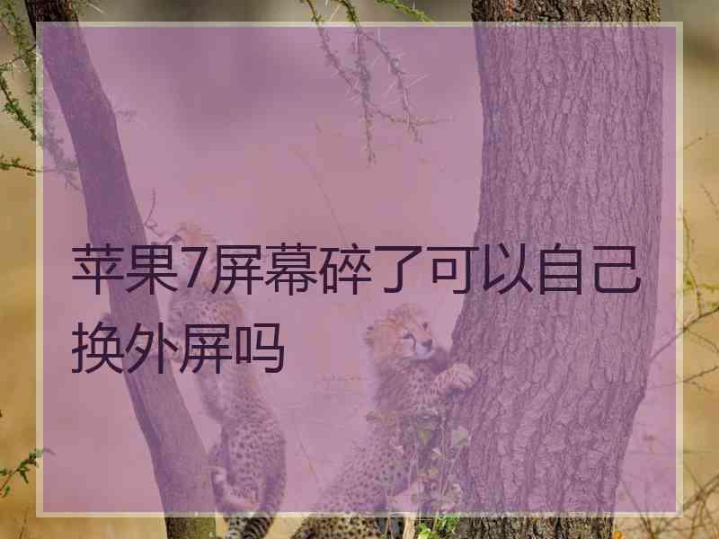 苹果7屏幕碎了可以自己换外屏吗