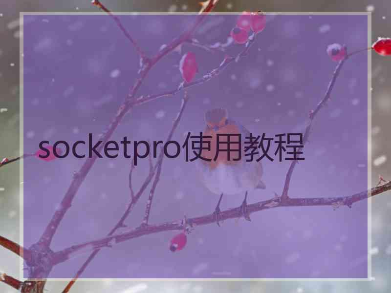 socketpro使用教程